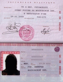 Паспорт гражданина рф для неработающих на визу в Венгрию